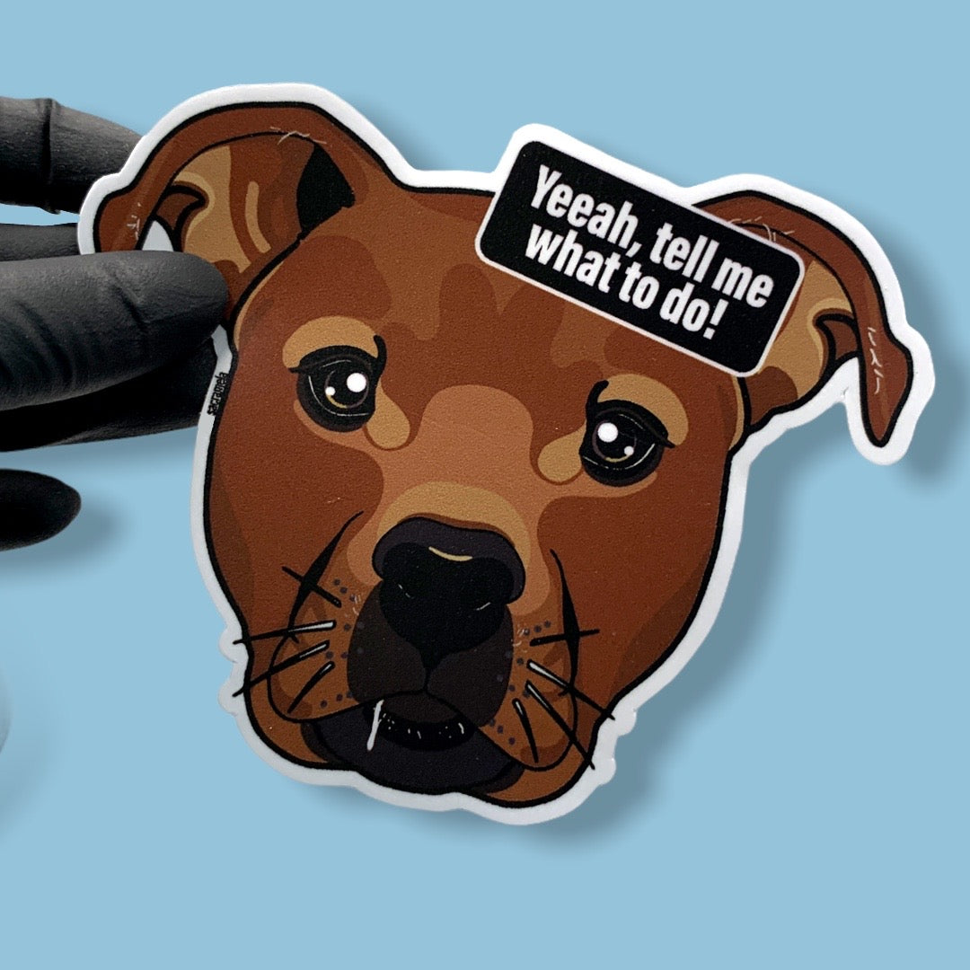 AMERICAN STAFFORDSHIRE TERRIER BROWN