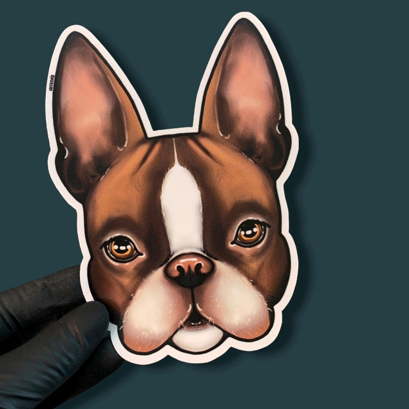 BOSTON TERRIER BROWN