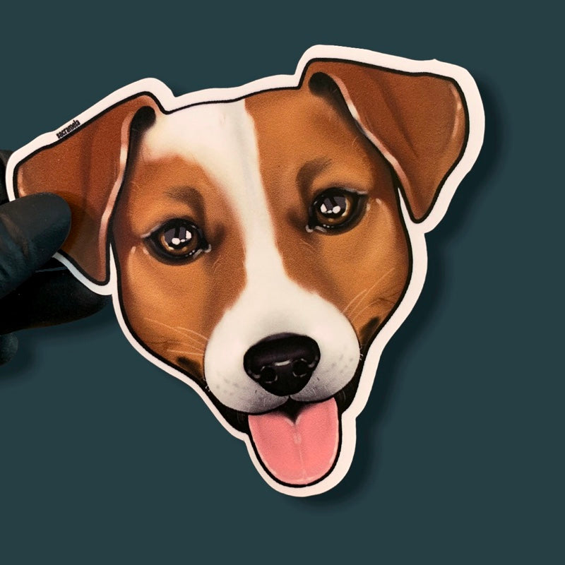 JACK RUSSELL TERRIER BROWN WHITE