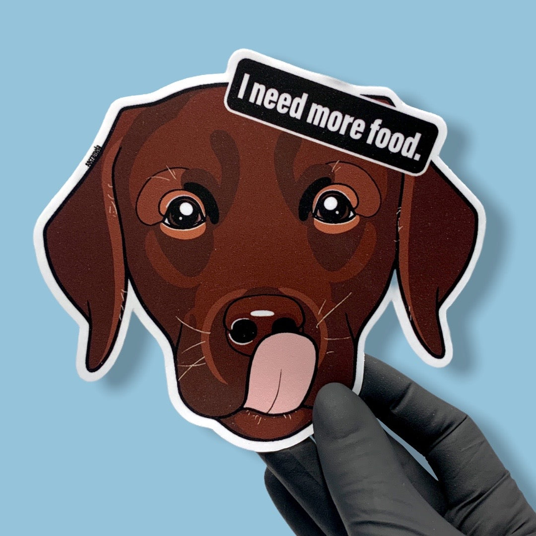 LABRADOR RETRIEVER CHOCOLATE