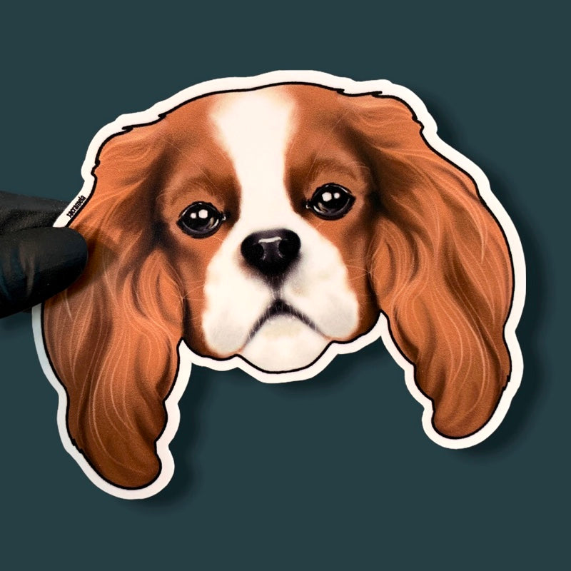 CAVALIER KING CHARLES SPANIEL BROWN