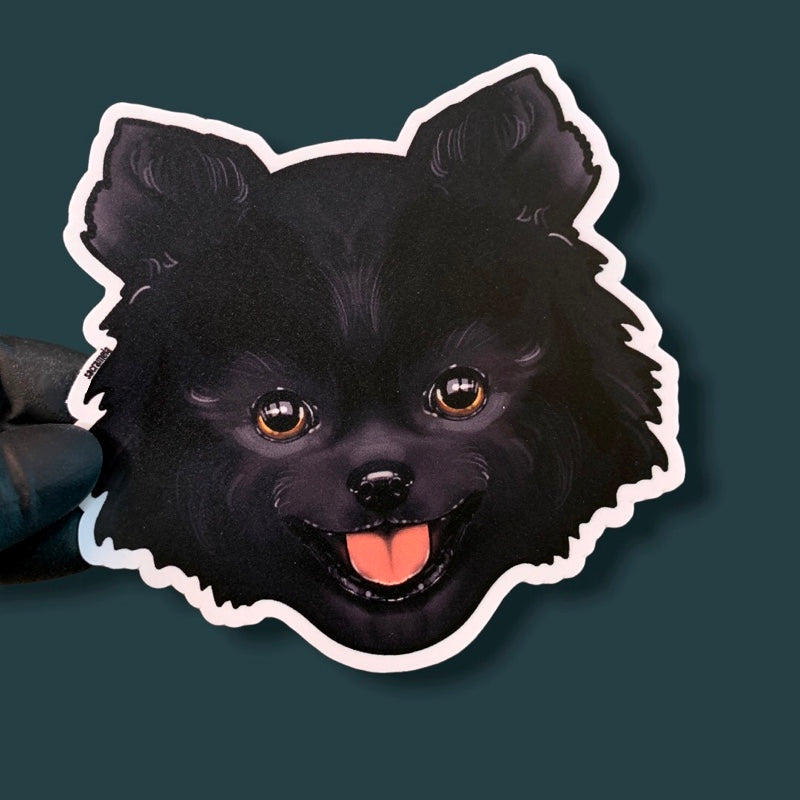 POMERANIAN BLACK