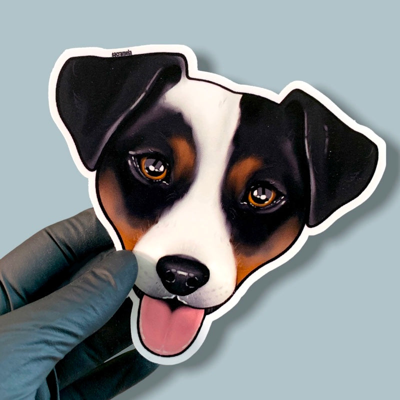 JACK RUSSELL TERRIER BLACK BROWN WHITE