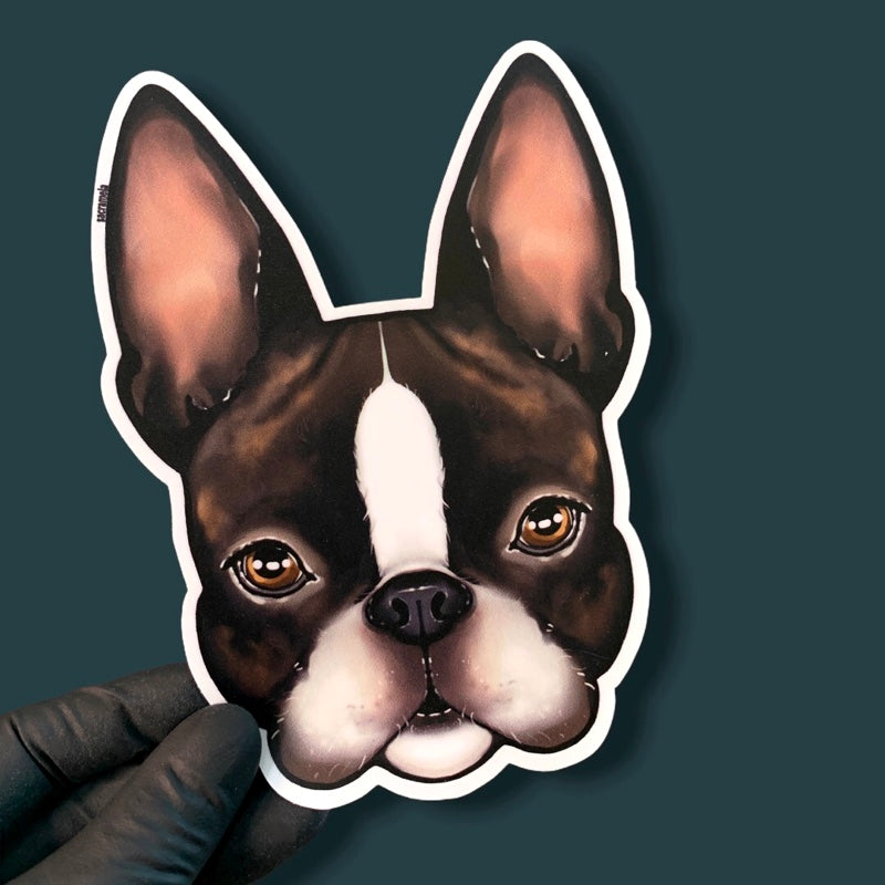 BOSTON TERRIER BRINDLE