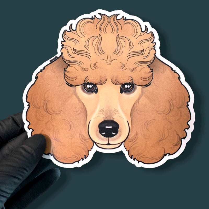 POODLE BROWN