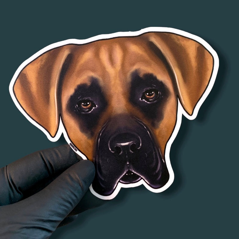 CANE CORSO BROWN BLACK