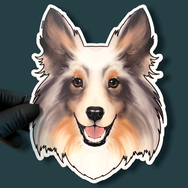 SHETLAND SHEEPDOG BLUE MERLE
