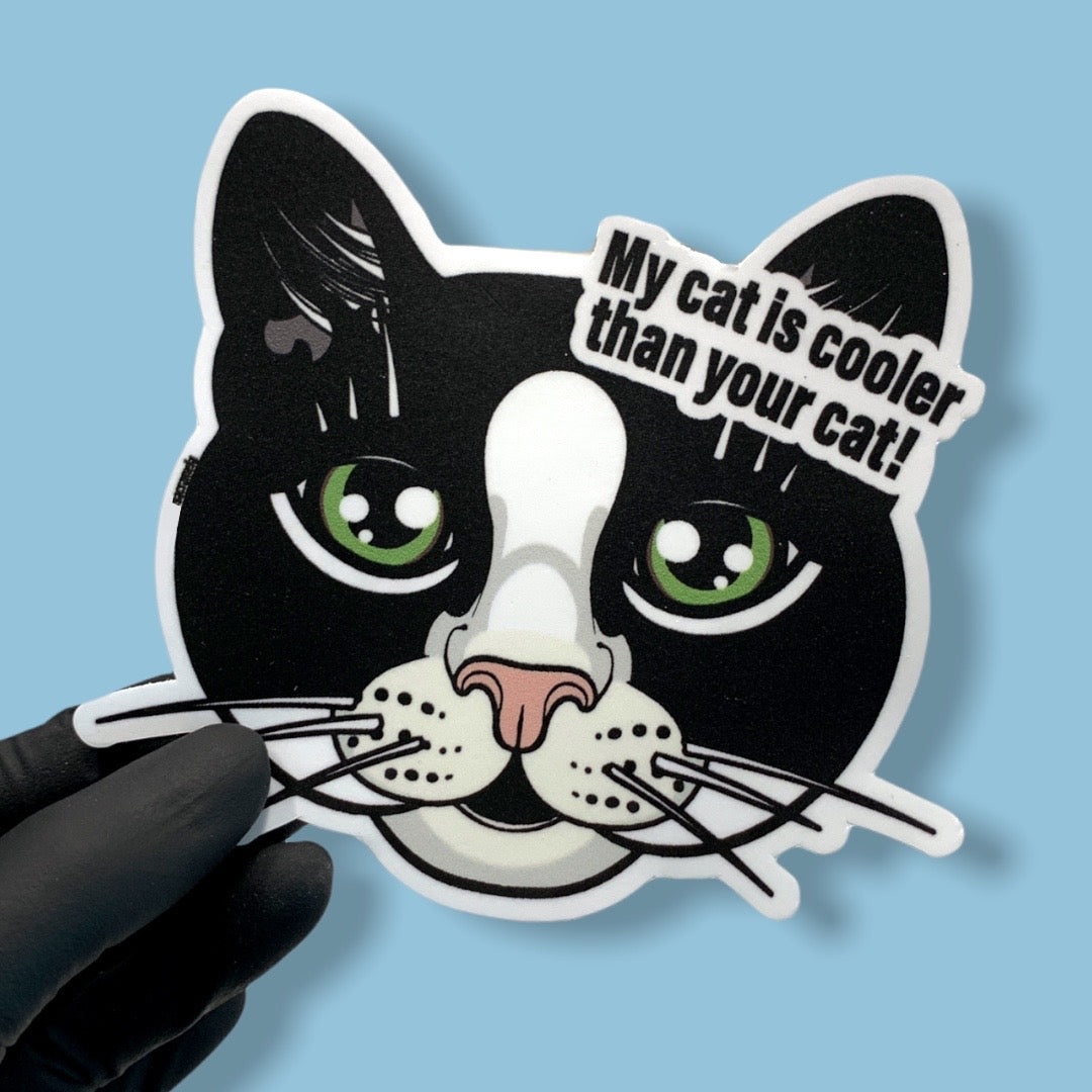 BLACK WHITE CAT SHORTHAIRED