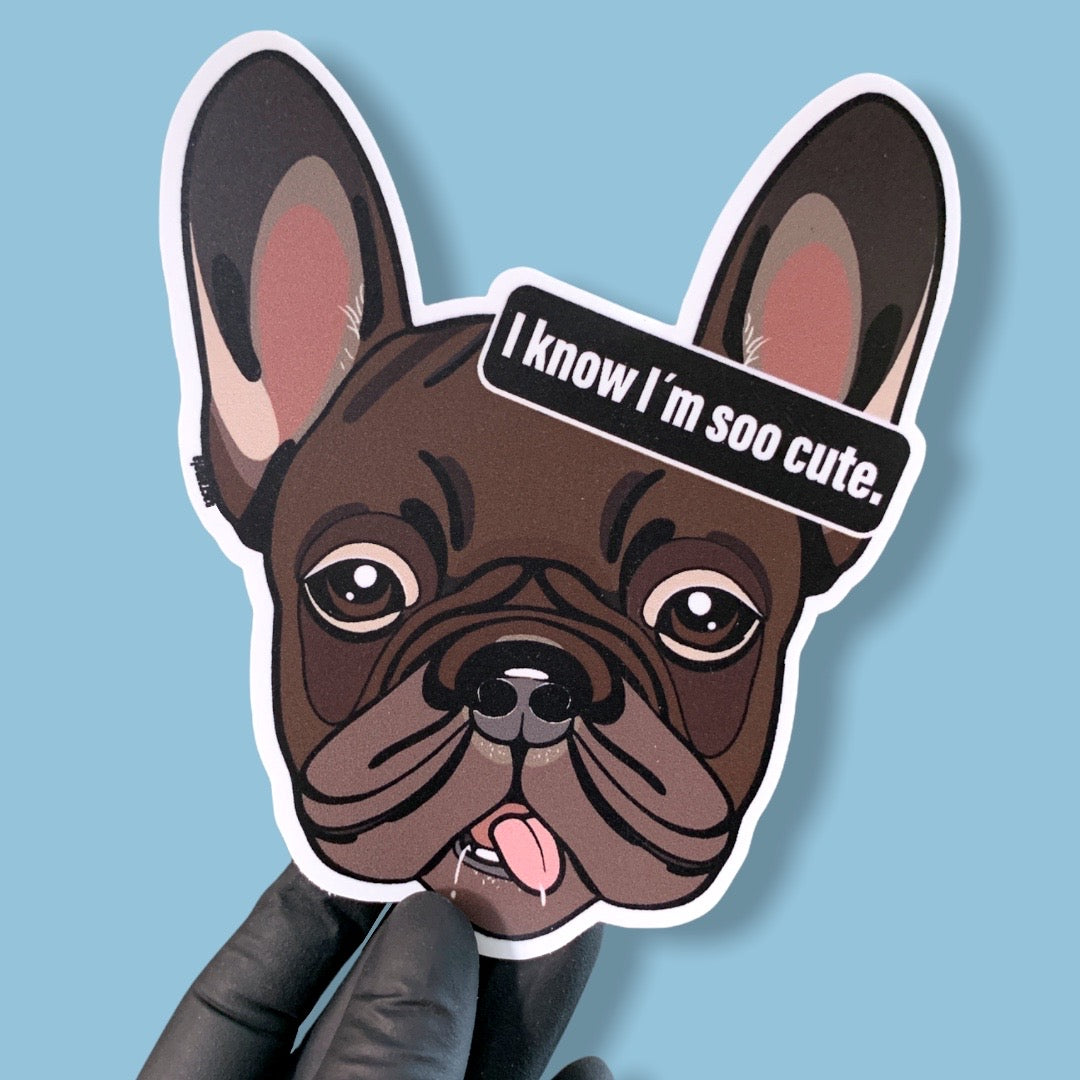 FRENCH BULLDOG CHOCOLATE