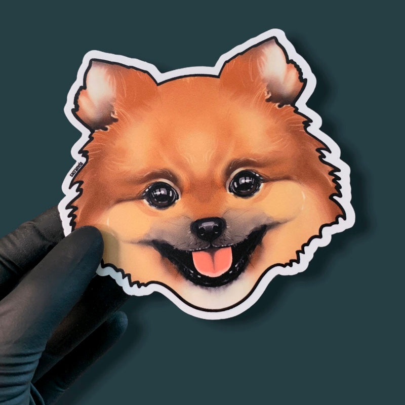 POMERANIAN BROWN
