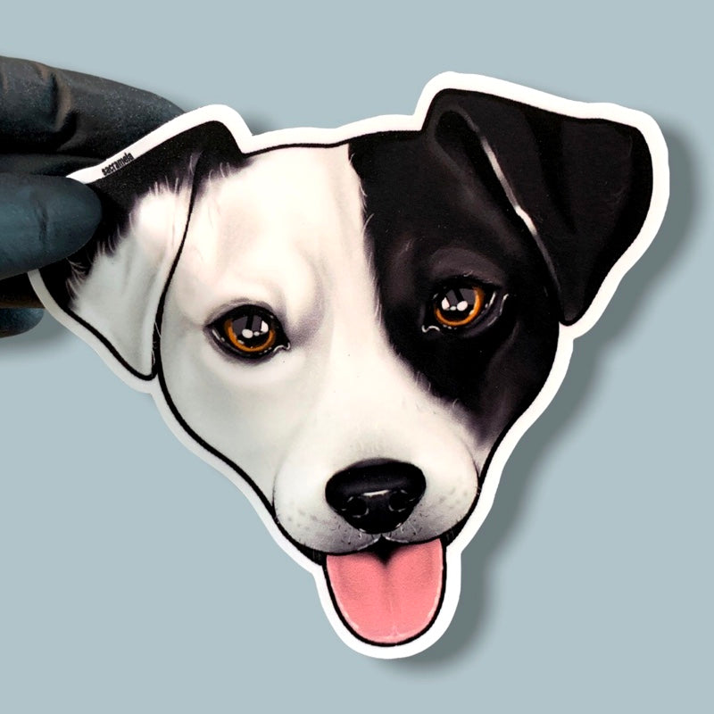 JACK RUSSELL TERRIER WHITE BLACK