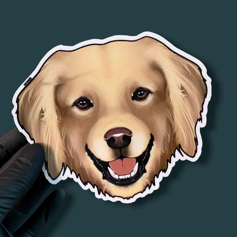 HOVAWART BLONDE