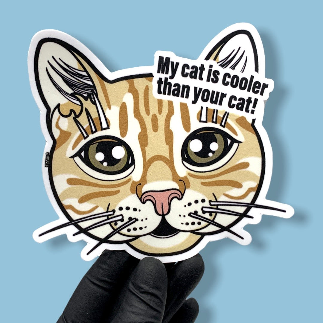 GINGER TABBY CAT SHORTHAIRED