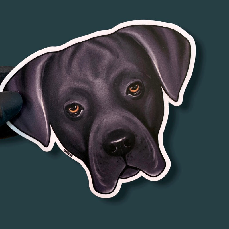 CANE CORSO SILVER