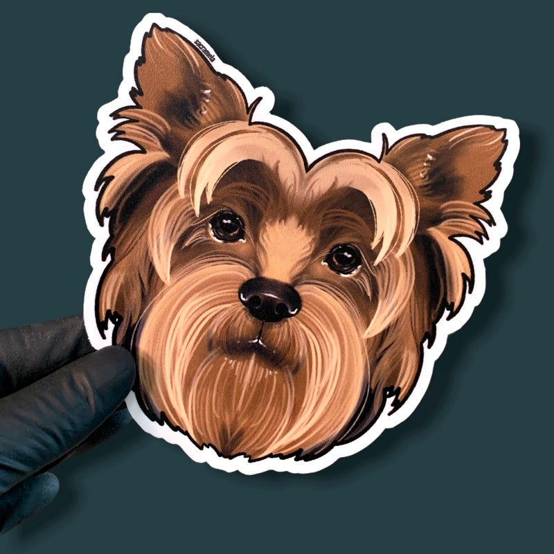 YORKSHIRE TERRIER BROWN