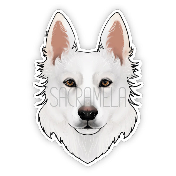 BERGER BLANC SUISSE