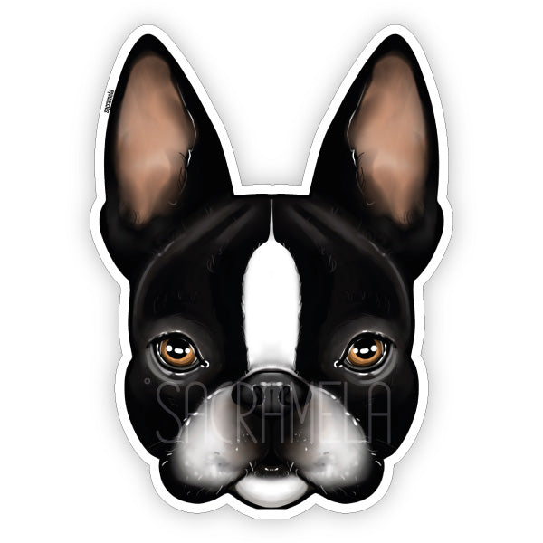 BOSTON TERRIER BLACK