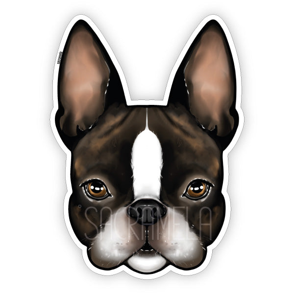BOSTON TERRIER BRINDLE