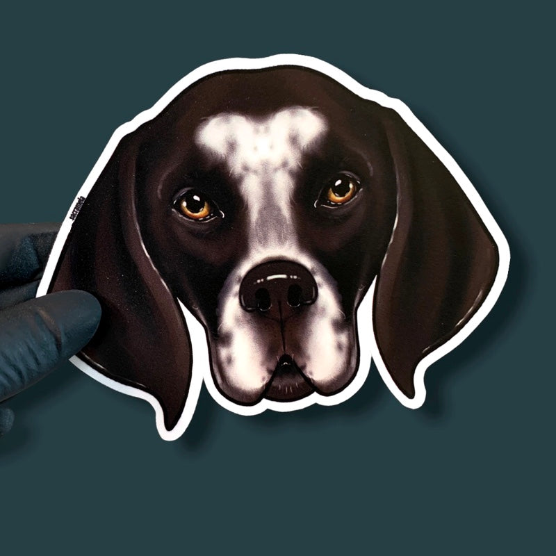GERMAN SHORTHAIRED POINTER BROWN WHITE