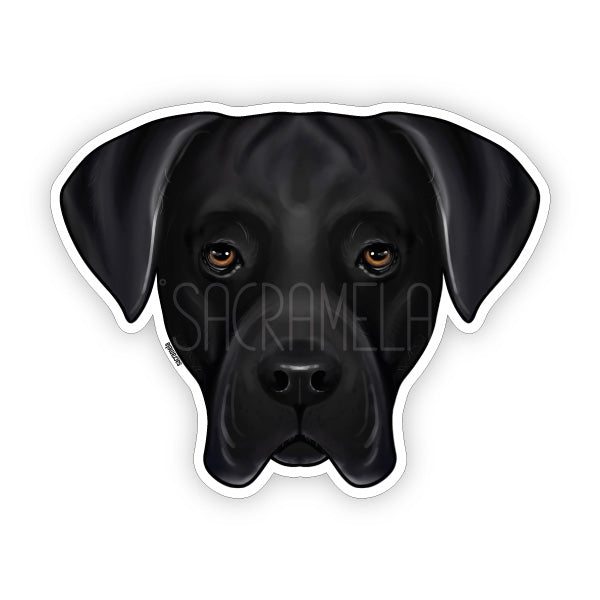 CANE CORSO BLACK