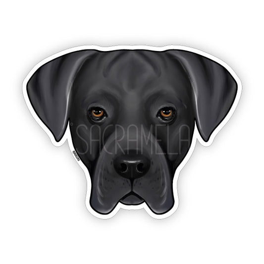 CANE CORSO SILVER