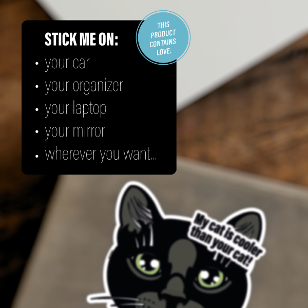 BLACK CAT SHORTHAIRED