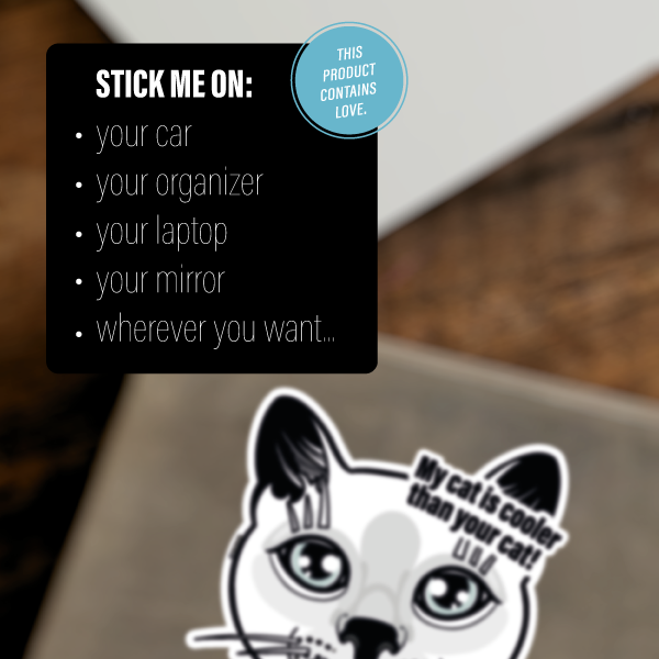 WHITE CAT SHORTHAIRED