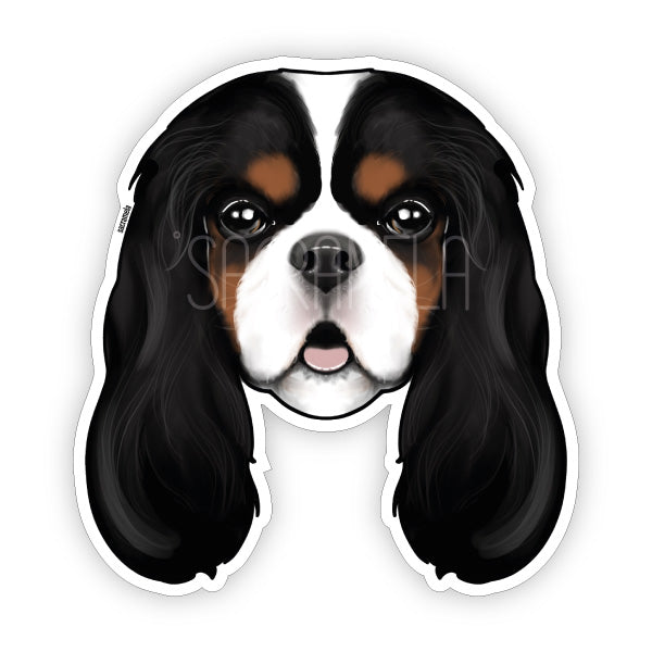 CAVALIER KING CHARLES SPANIEL TRI COLOR