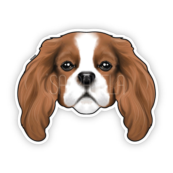 CAVALIER KING CHARLES SPANIEL BROWN