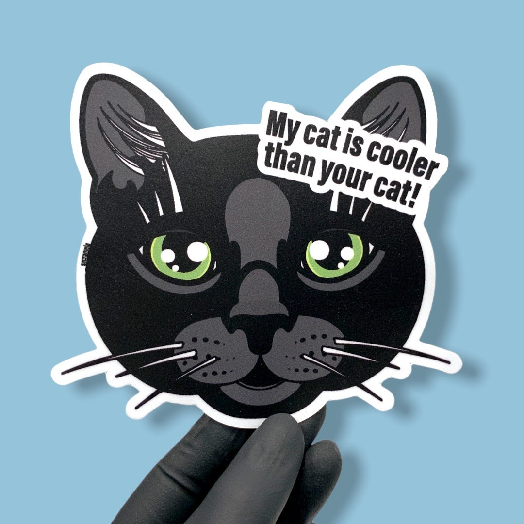 BLACK CAT SHORTHAIRED