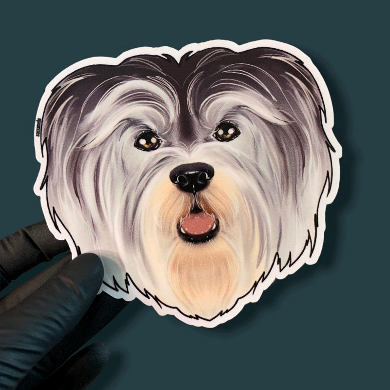 HAVANESE GREY