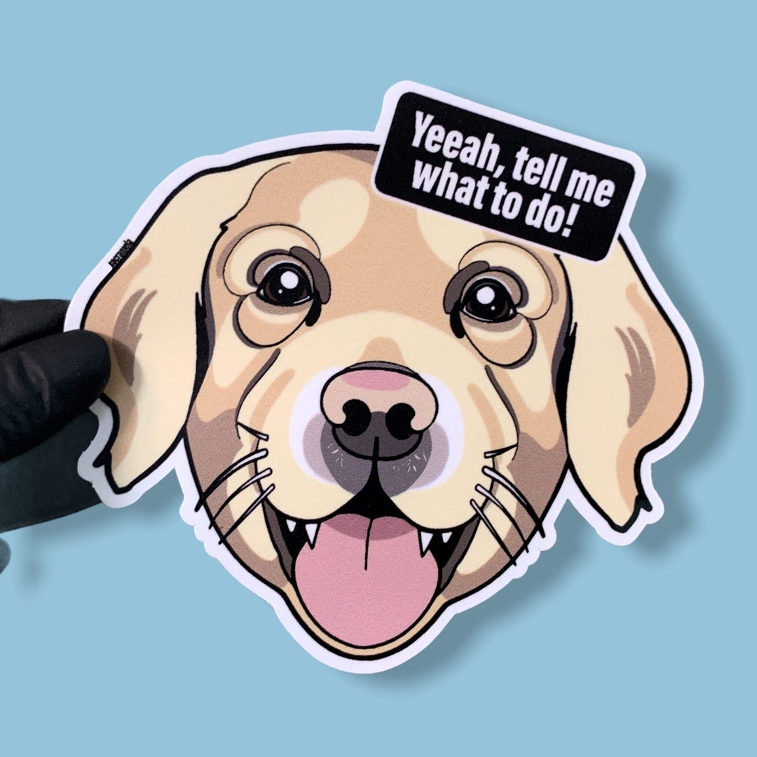 GOLDEN RETRIEVER SHORTHAIR