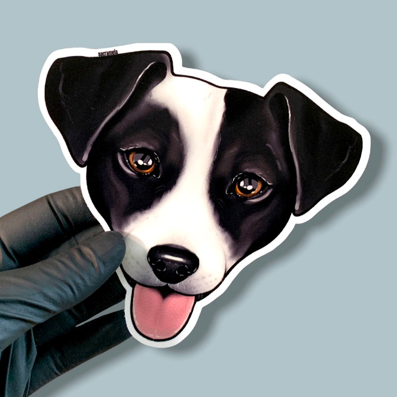 JACK RUSSELL TERRIER BLACK WHITE