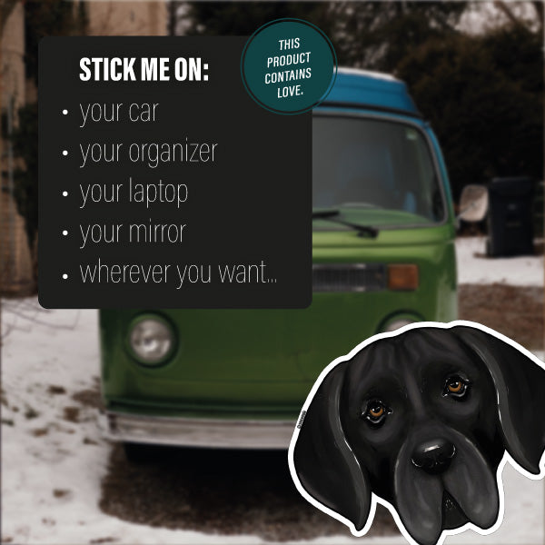 DEUTSCHE DOGGE BLACK