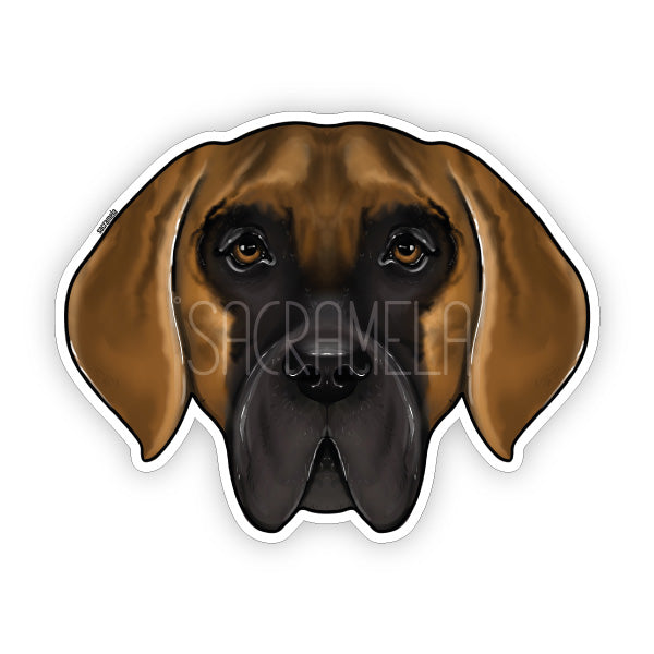 DEUTSCHE DOGGE BRINDLE