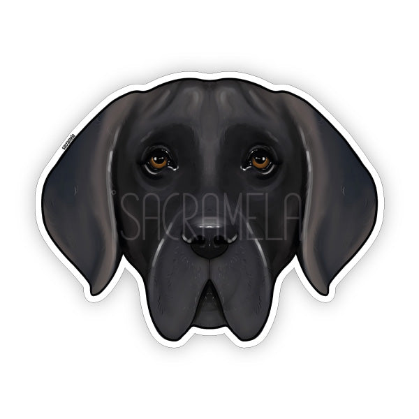 DEUTSCHE DOGGE SILVER