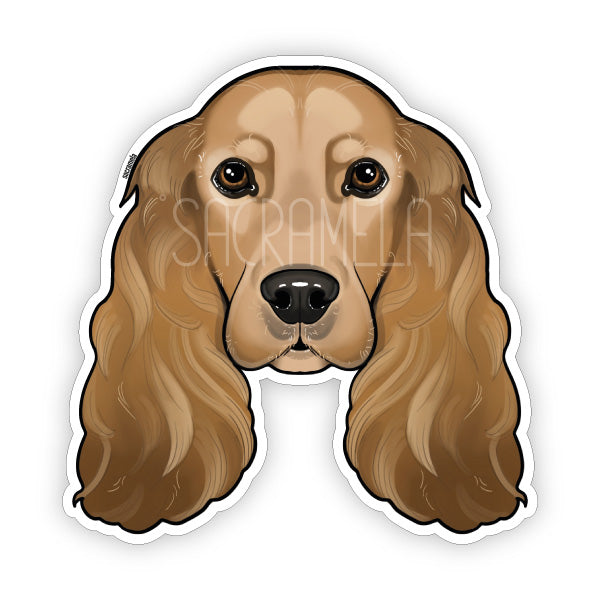 ENGLISH COCKER SPANIEL BROWN
