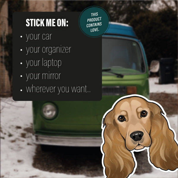 ENGLISH COCKER SPANIEL BROWN