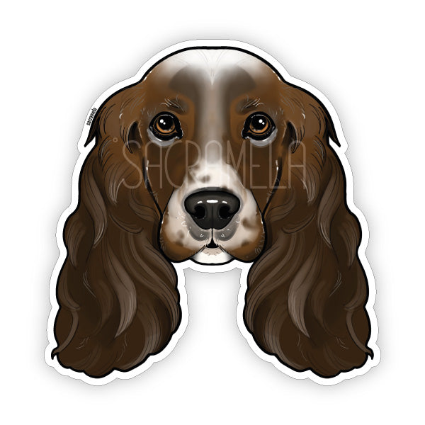ENGLISH COCKER SPANIEL BROWN WHITE