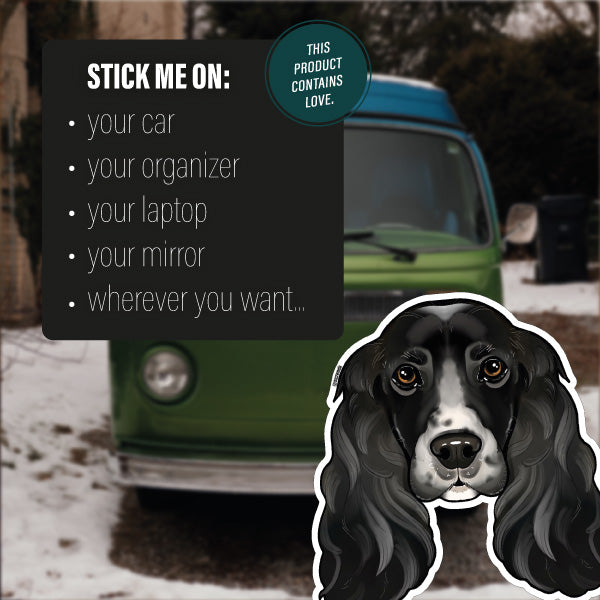 ENGLISH COCKER SPANIEL GREY