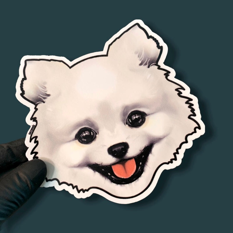 POMERANIAN WHITE