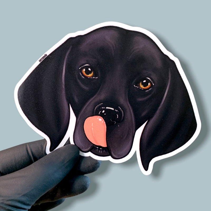 GERMAN SHORTHAIRED POINTER BLACK