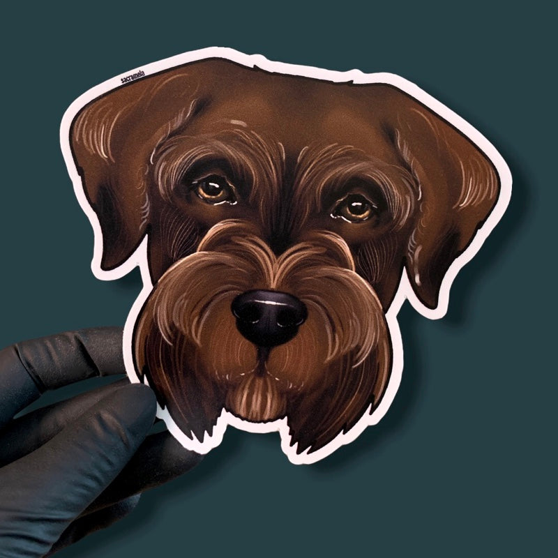 GIANT SCHNAUZER BROWN