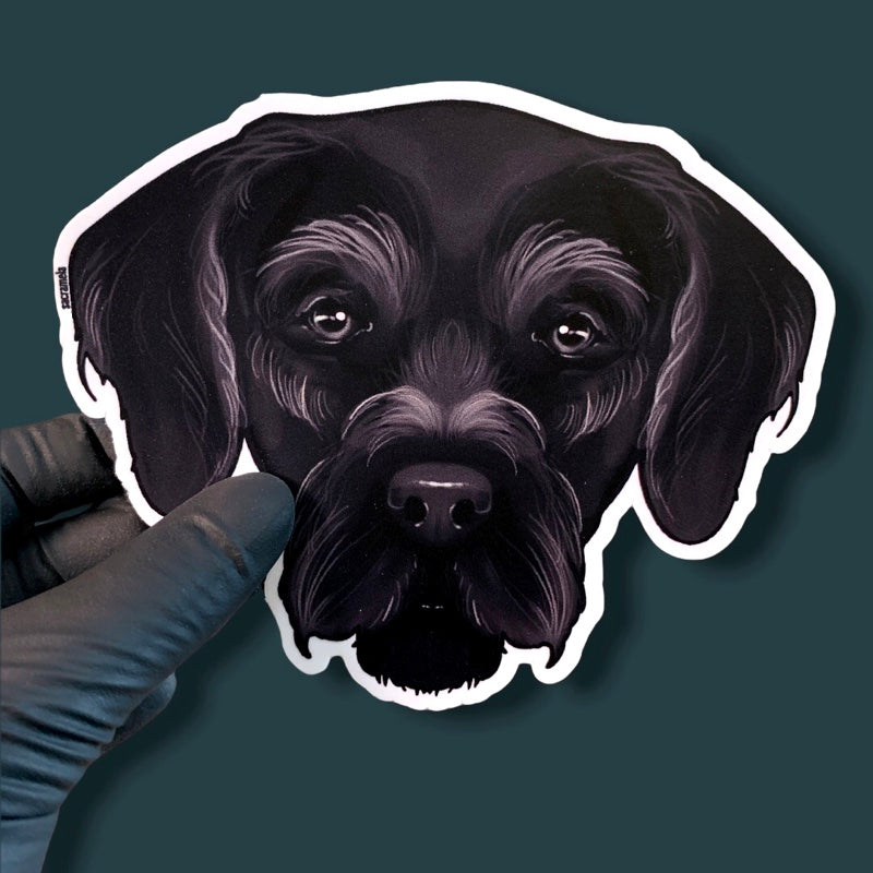 GERMAN WIREHAIRED POINTER BLACK