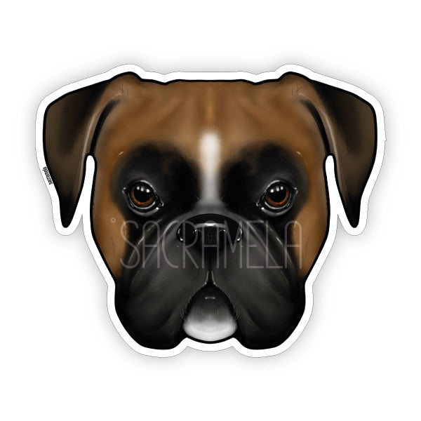 GERMAN BOXER BROWN BLACK WHITE