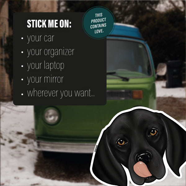 GERMAN SHORTHAIRED POINTER BLACK