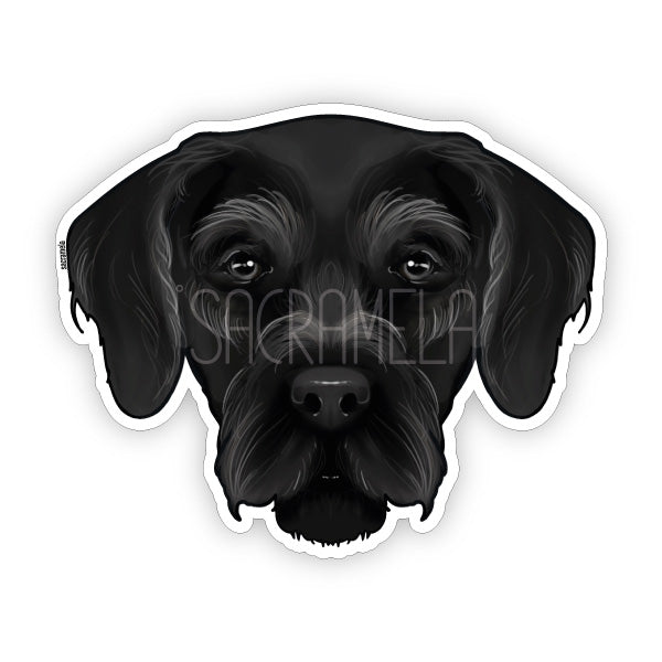 GERMAN WIREHAIRED POINTER BLACK