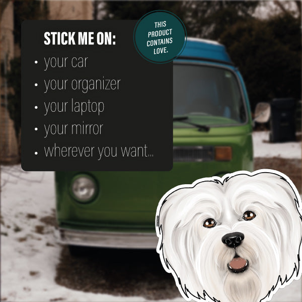 HAVANESE WHITE