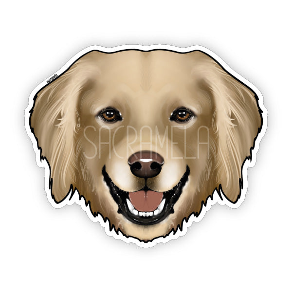HOVAWART BLONDE