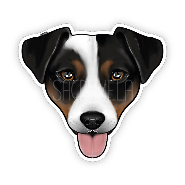 JACK RUSSELL TERRIER BLACK BROWN WHITE